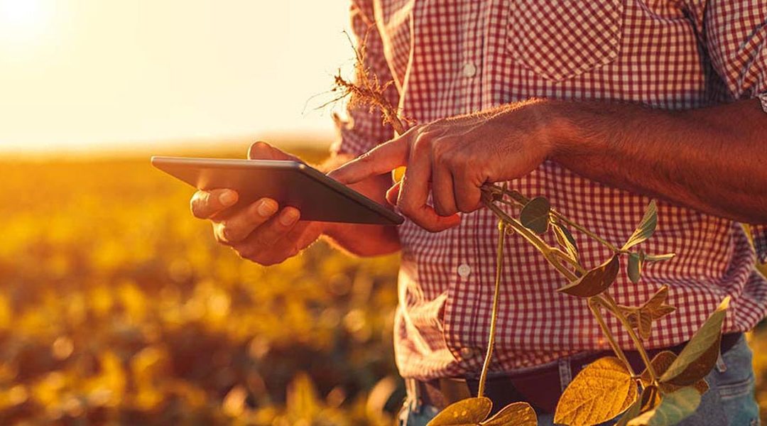 Falling farm support, Brexit rules and Covid-19 hit business confidence