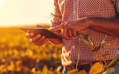 Falling farm support, Brexit rules and Covid-19 hit business confidence