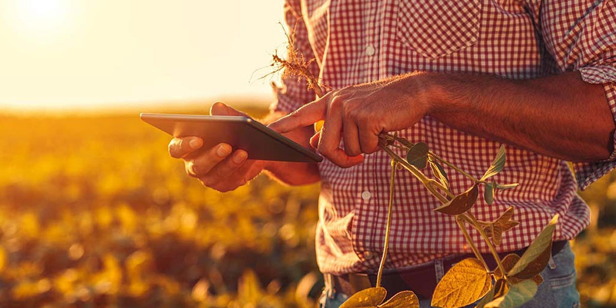 Rescaype blog falling farm